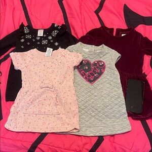 Gymboree Pink and Gray Dress Collection